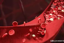 血液并非全是红色，自然界中还有绿色和蓝色血液，看完涨见识了图片