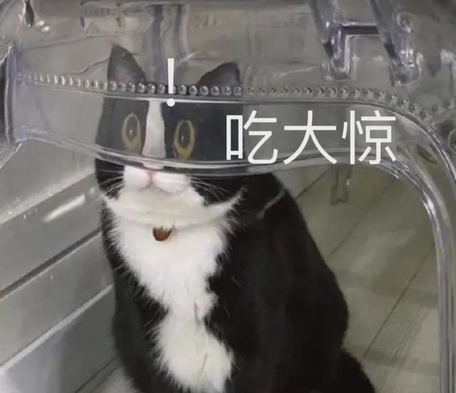 凭结婚证可查配偶结婚的建议，挺好
