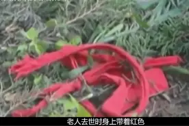 孙子结婚当天，82岁奶奶却身系红腰带跳楼自杀，不惜诅咒孙子图片