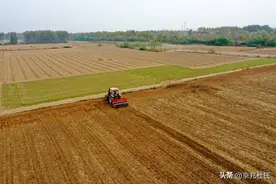 德国农业机械水平多高，我国过度依赖外国玉米，沦为卡脖子境地？图片
