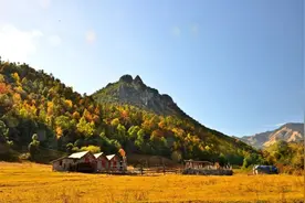 【一月一县市·剑川】徒步老君山，赏杜鹃花海图片
