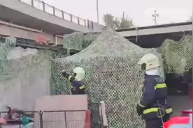 北京一小狐狸“定居”居民区，消防员食物诱捕图片