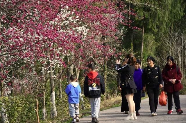 四川省民生研究会新媒体中心-官网