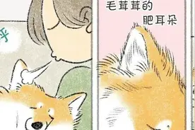 养狗人的真实瞬间图片