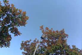 该发的终究还是发了：有些地方终于还是在12月底发了去年绩效奖金图片