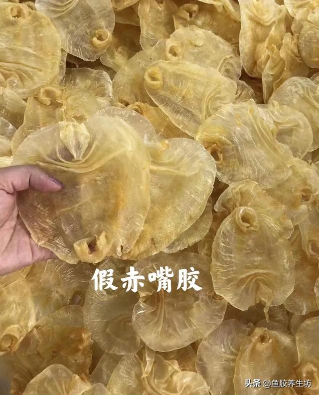 四大赤嘴鱼胶排名 赤嘴鱼胶产地哪里?最好