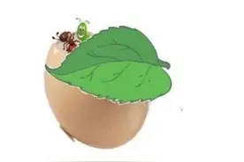 二年级作文：蛋壳历险记图片