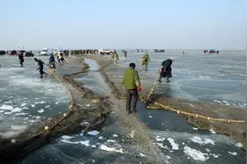 水产养殖|冬季鱼类常见原因以及如何防治，你都了解吗？图片