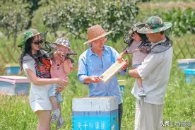 中华蜂良种扩繁基地为蜜蜂“包办婚礼”，真相是啥？图片