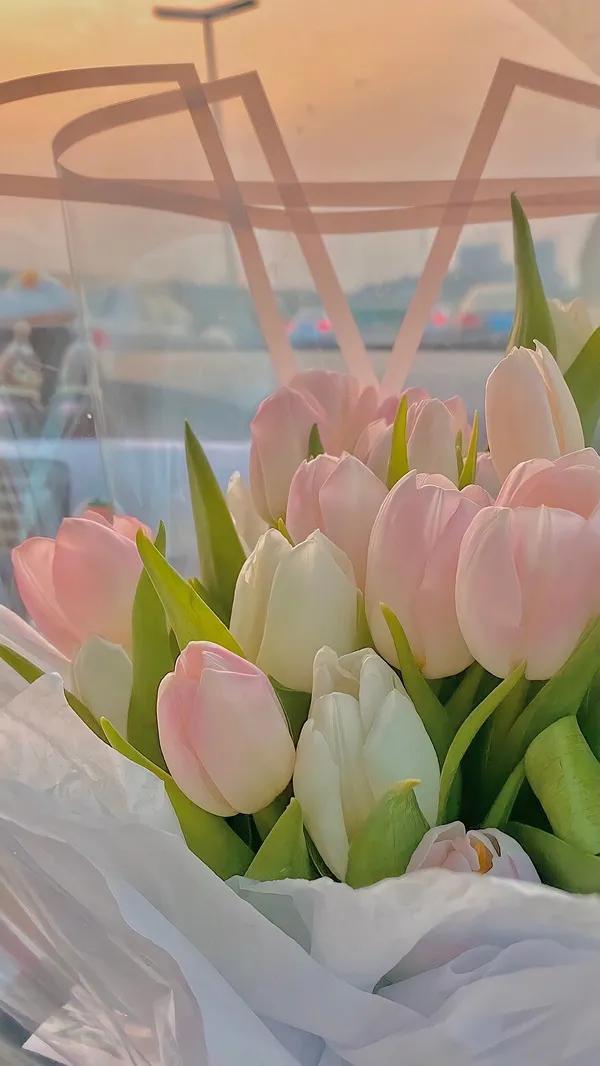 过生日发朋友圈的文案