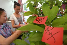 公费师范生录取火爆：个别省份投档线仅次于北大清华，就业待遇受考生青睐图片