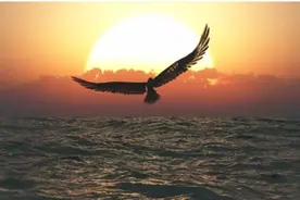 好歌赏析，听歌学英语——Wind Beneath My Wings 我的翅膀下面的风图片