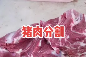 前腿肉分为梅花肉和精品前尖，五花肉分为精品五花和通脊，后腿分为精品优质普通后腿#五花肉 #排骨 #美食 #刀工 #抖音小助手 