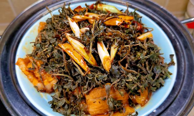 夏天遇见马齿苋，我必囤20斤，全身是宝，晒干后美味翻倍，别错过