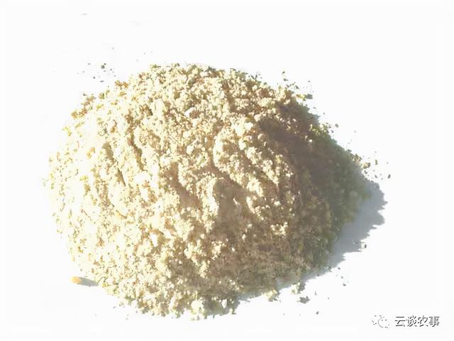 养猪的常用饲料介绍（专业文章建议收藏）
