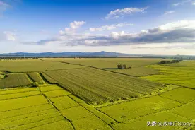 中国人在俄罗斯远东地区种地，钱挣了很多，但是家庭出了问题图片