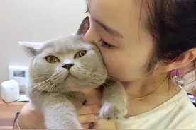 猫咪短暂的一生，有这11句“心里话”想告诉主人图片