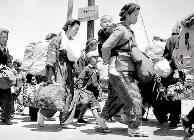 1945年，一个日本5口之家逃进中国原始森林，40年后结局令人意外