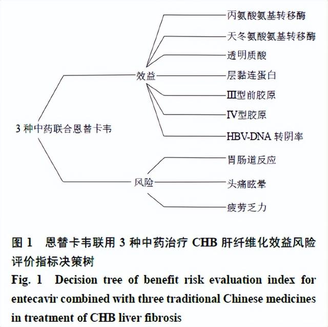 恩替卡韦联用3种中药治疗慢性乙肝纤维化效益风险评价
