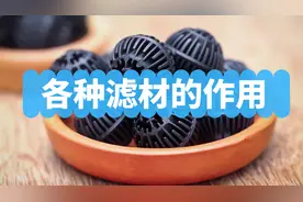 过滤器各种滤材的作用，以及滤材摆放顺序图片