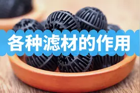 过滤器各种滤材的作用，以及滤材摆放顺序图片