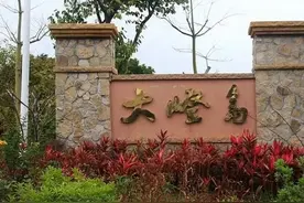 小岛士兵图片