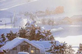 散文：十二月，安静于暖，安然于心，坦然走入寒冬图片