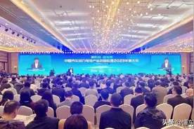 观点 | 中汽数据王攀：新能源车使用寿命高于预期 已累计报废51万辆图片