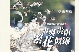 “爽爽贵阳·繁花似锦” 市县两级联动报道⑦丨南明区：春花开遍满城芳图片