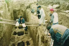 1993年，甘肃一地几万人盗掘古墓，有人问起，他们说：搞农田建设图片