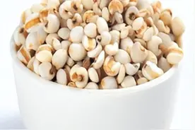 煮一碗祛湿健脾胃粥，帮您赶走体内的湿气图片