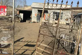 教学35年，我教出了好多尖子生，来看我的都是当年调皮捣蛋的孩子图片