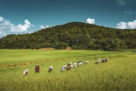 农民每年交1000元养老保险，交15年60岁能领多少钱？有1000元吗？图片