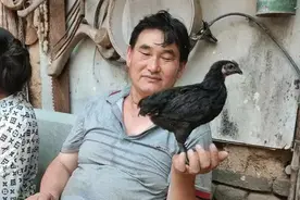 否认索要大衣哥500万，谷传民：兄弟无情，人心险恶，我已抑郁图片