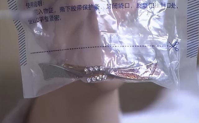 刑侦剧连载75：研究所所长惨死家中，一个发卡竟成破案关键