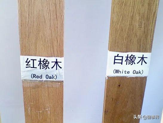 (如何分辨松木和橡木) - 冷求网