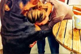 这些狗，很“长命”，陪伴你可长达20年图片