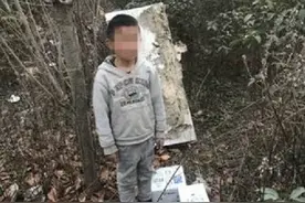 8岁弟弟与21岁小偷哥哥在荒地安家，不是亲生兄弟的两人相依为命图片