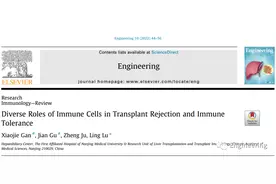 中国医学科学院吕凌研究团队：免疫细胞在器官移植免疫排斥和免疫耐受中的不同作用丨Engineering图片