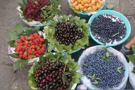 蓝莓，一种“神秘”的水果，到底什么味儿图片