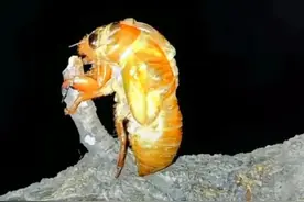 一套100万房子成本知多少图片