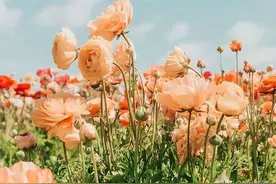 原来，人的命数，在你“降生”的那一刻，就已经安排好了图片