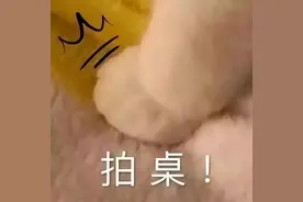 公本课堂：英语四六级裸考攻略之写作图片