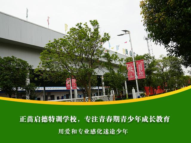 叛逆期孩子的家庭教育_【感恩励志】今日推荐(图10)