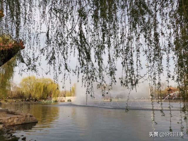 汾阳往事｜殷维明：杏花村游记——汾酒工业园林赏杏花