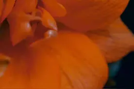 那些救赎了我无数遍的文案图片