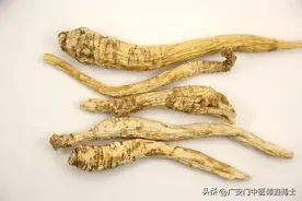 中医治疗肺癌（阴虚型）经方1则——养阴清肺消积汤图片