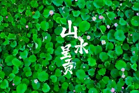千城胜景｜山水呈贡图片