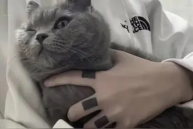 男生头像｜个性有趣又接地气，太招人喜欢了图片