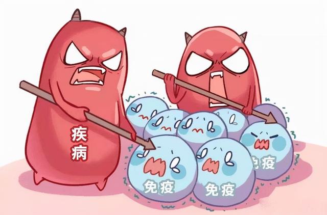 人参肽能提高性功能吗 人参肽对性功能有用吗